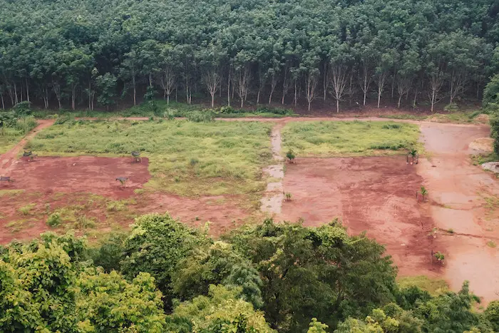 Déforestation: l’Amazonie a perdu l’équivalent de la Colombie en 40 ans