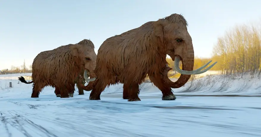 Bureaucratie et copropriété: du paléolithique à aujourd'hui